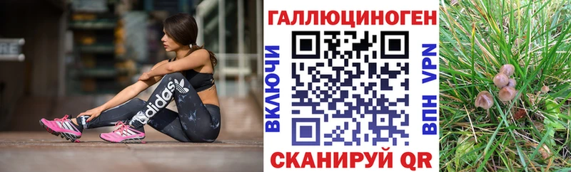 закладка  Поронайск  Псилоцибиновые грибы прущие грибы 